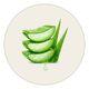 Aloevera